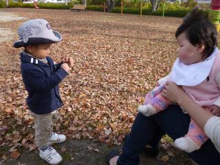 1211293.jpg