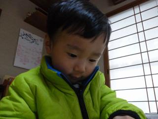 1211305.jpg