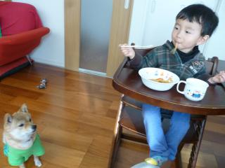 12120412.jpg