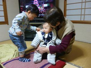 1212068.jpg