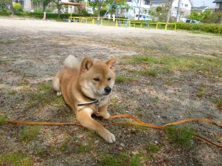 土はひんやり