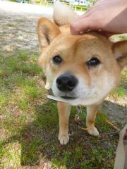 また抜ける?