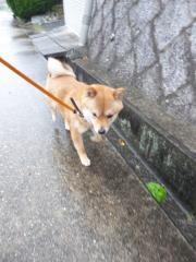 雨か~
