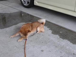 勝手に休憩