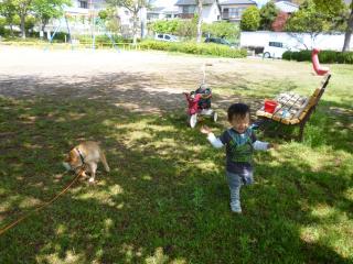 日陰は涼しい