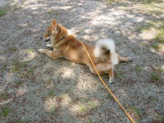 公園休憩