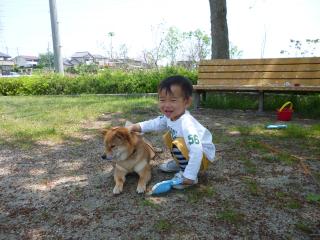 へへ