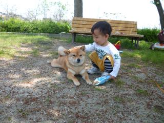 いーこいーこ