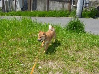 あっちっち