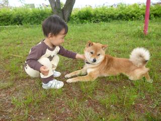 よじよじ