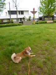 へへへ