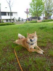 風がきもち