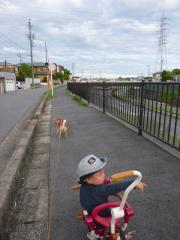 国道車いっぱい