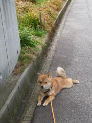 あちち