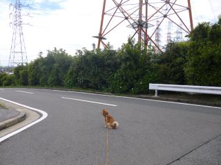 危険待ち