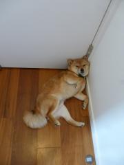 もうちょいいい?