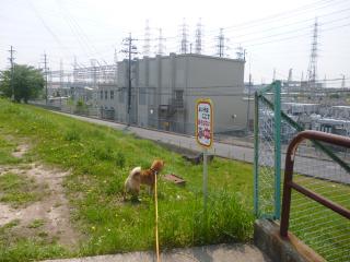 新しい看板