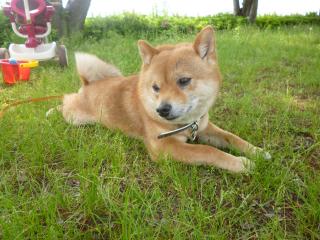 休憩モード
