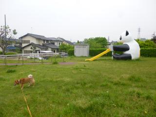 パンダ公園