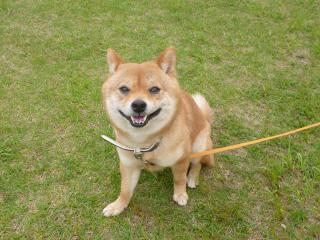 今度ね