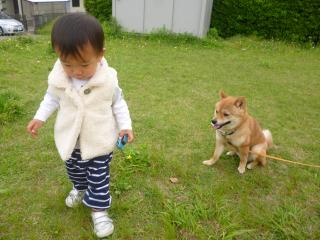 いいないいな