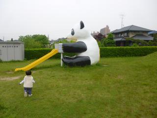 ぱんだ~