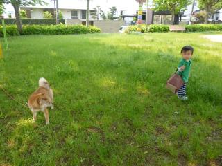 ちょっとそこまで。