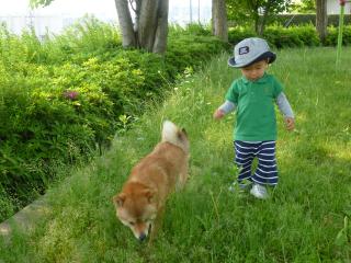 くんくん