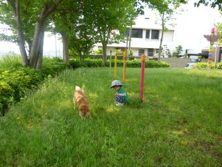 今日はでんわ公園