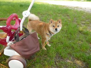 やさしくしてよ。