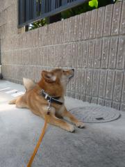 ん??