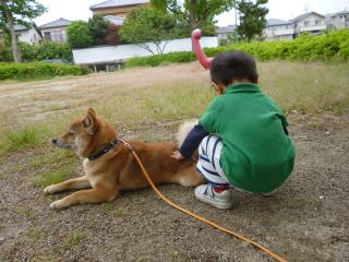 毛づくろい
