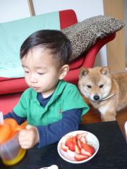 いちご狙い?
