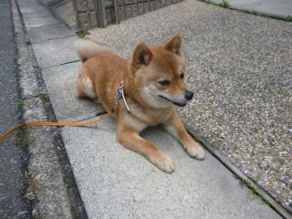 休憩ハル