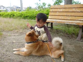 いいこいいこ。