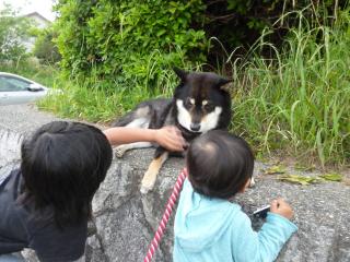大人ゆずっち