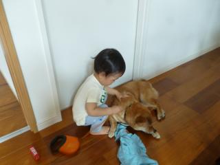 お散歩準備