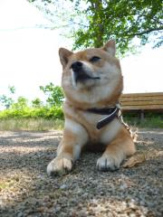 やや緊張気味