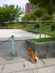 草刈シーズン