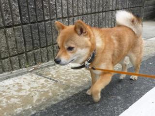 心中複雑