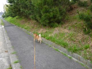 まだ余裕