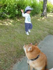 見守るハル1