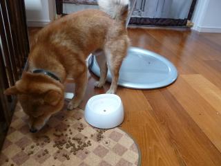 散らかし食べ