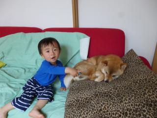 おっはよー