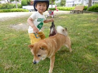公園ハシゴ