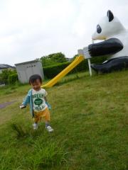 朝の公園独占