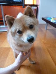 きもちいー