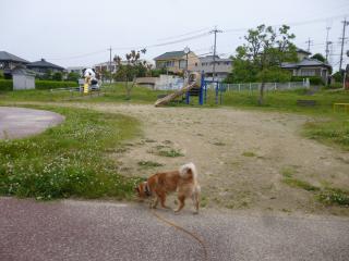 パンダ独占
