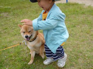 あわや事故