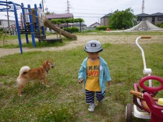 公園散策